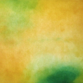 03_02_buriedplate4_web