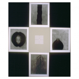 03_18_metamorphosisopen_web