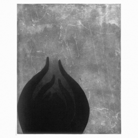 03_19_budairspring_web