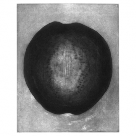 03_21_fruitearthfall