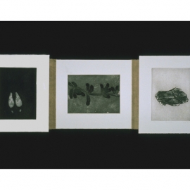 03_23_tracksdetail_web