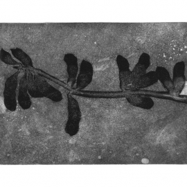 03_24_tracksplant_web