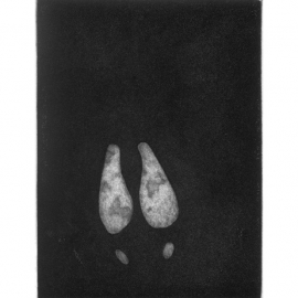 03_25_tracksdeer_web