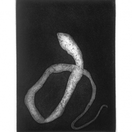 03_27_trackssnake_web