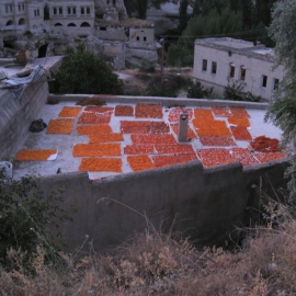 01_02_06_apricotrooftops