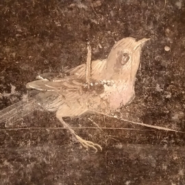 014_romanbird
