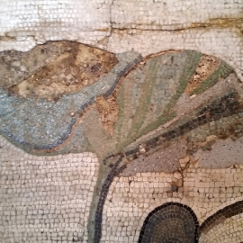 017_lotusmosaic