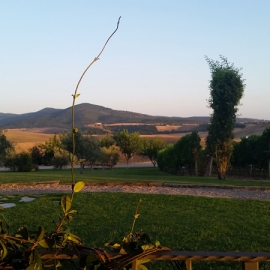 01_laziocountryside
