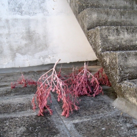 01_05_01_underthestairs